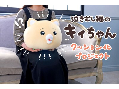 30名限定 直筆色紙付プラン 泣きむし猫のキィちゃん モフ缶 18131-5791-